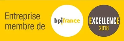 bpi france