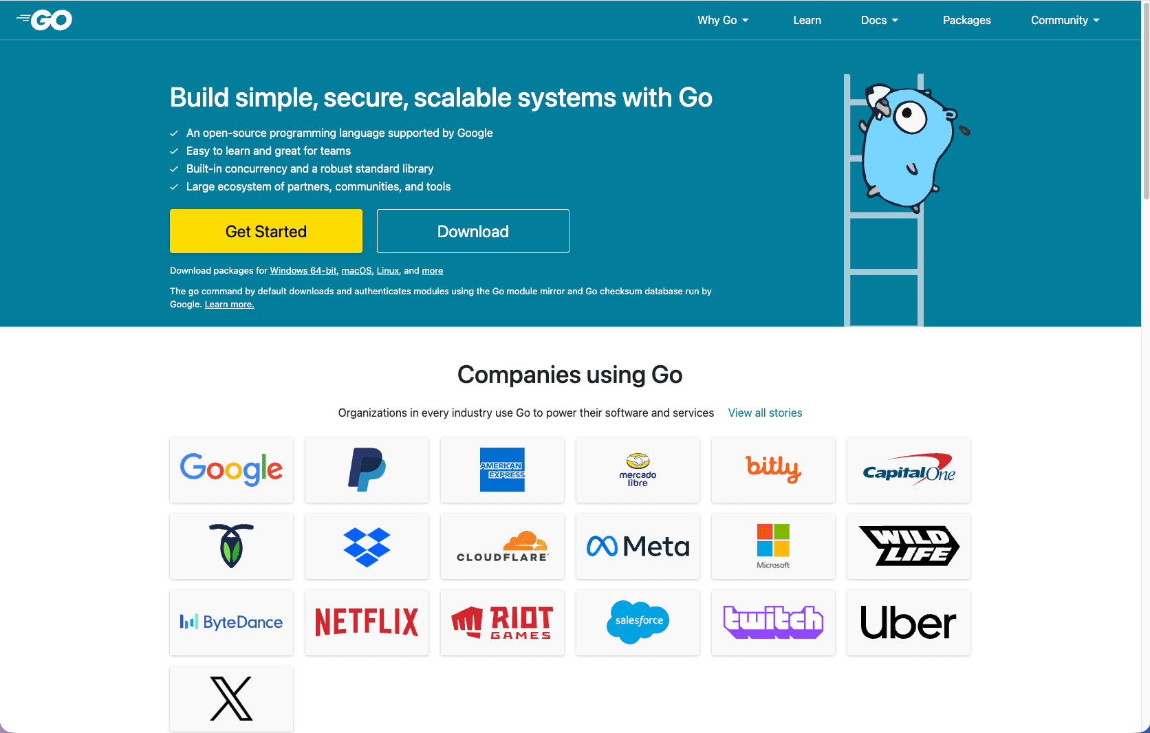 Développement backend Go Golang haute performance