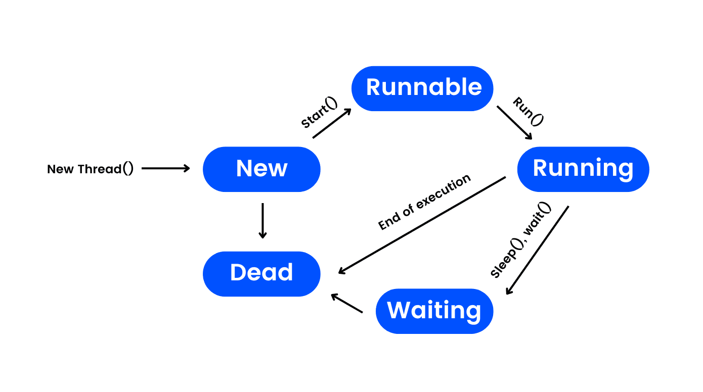 Cycle de vie d'un thread