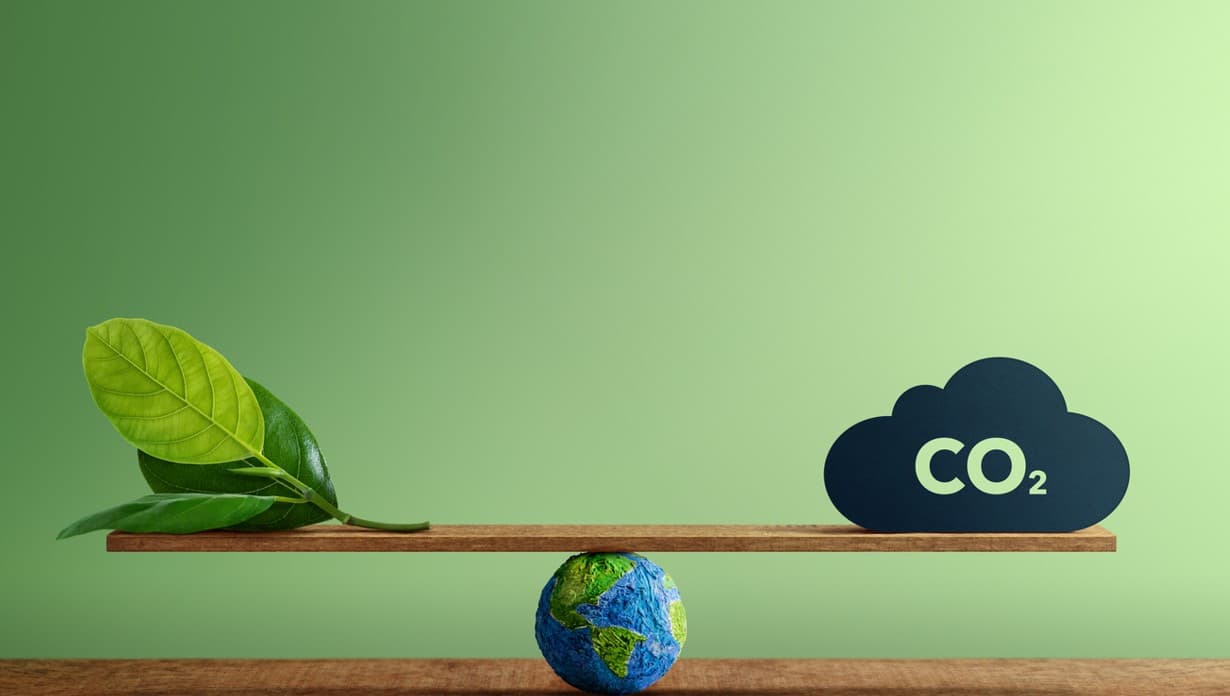 Web-atrio publie son Bilan Carbone © Scope 3 réalisé avec Monde Nouveau